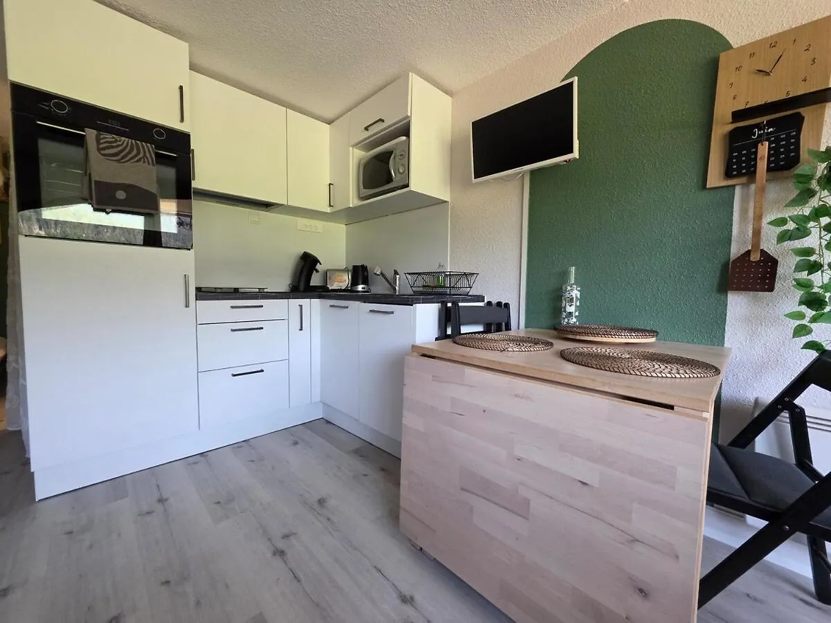 Appartement Studio Payolle Face Lac Et Du Pic Du Midi Barrancoueu
